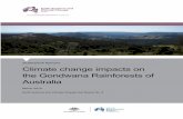 Gondwana CC workshop report - nespclimate.com.au