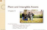 Plant and Intangible Assets - portnet.org