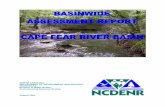 Basinwide Assessment Report - Cape Fear River Basin.
