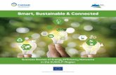 Smart, Sustainable & Connected - CAESAR