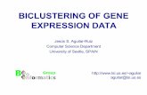 BICLUSTERING OF GENE EXPRESSION DATA - UMA