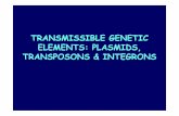 TRANSMISSIBLE GENETIC ELEMENTS: PLASMIDS , …