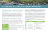 Economics of Gully Erosion Stabilization