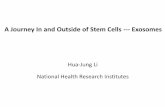 A Journey In and Outside of Stem Cells --- Exosomes
