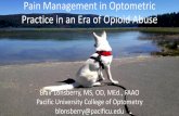 Pain Management in Optometric Practice in an Era of Opioid ...