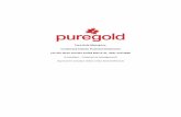 Pure Gold Financial Statements