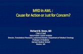 MRD in AML : Cause for Action or Just for Concern?