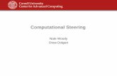 Computational Steering - Cornell University