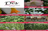 Dis Delightful Plants ordering details, terms & conditions