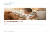 Epigenetics - child-encyclopedia.com