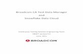 Broadcom CA Test Data Manager and Snowflake Data Cloud