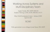 Working Multi-Disciplinary Team