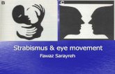 Strabismus & eye movement