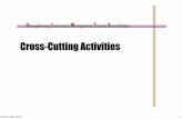Cross-Cutting Activities - SLMTA