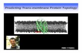 Predicting Trans-membrane Protein Topology