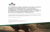 A camera trap study on the spatio- temporal behaviour of ...