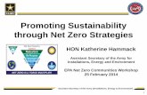 Promoting Sustainability through Net Zero Strategies