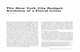 The New York City Bugdet: Anatomy of a Fiscal Crisis