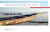 Climate change and small-scale fisheries