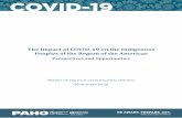 The Impact of COVID-19 on the Indigenous Peoples of the ...