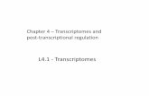 L4.1 - Transcriptomes