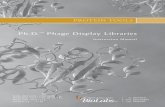 manual Ph.D. Phage Display Libraries E8100, E8101 ... - NEB