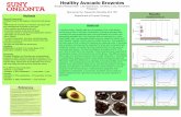 Healthy Avocado Brownies - Oneonta