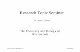 Research Topic Seminar - CCC/UPCMLD