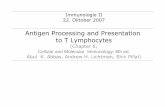 Antigen Processing and Presentation to T Lymphocytes
