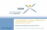 EU and partner country collaboration