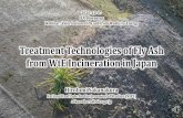 Treatment Technologies of Fly Ash from WtE Incineration in ...