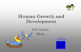 Human Growth and Development - cbsd.org