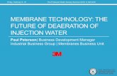 MEMBRANE TECHNOLOGY: THE FUTURE OF DEAERATION OF …