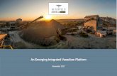 An Emerging Integrated Vanadium Platform