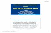The Endangered Heel-IHCA-PPT for handouts