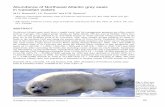 Abundance of Northwest Atlantic grey seals in Canadian waters
