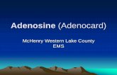 Adenosine (Adenocard) - Northwestern Medicine