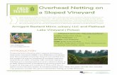 Overhead Netting on a Sloped Vineyard