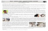 Adopt, Donate, Volunteer at Bay Area Pet Adoptions/SPCA
