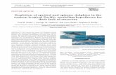 Depletion of spotted and spinner dolphins in the eastern ...