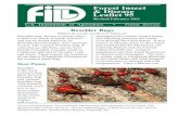 Forest Insect & Disease Leaflet 95