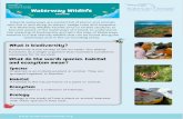 Waterway Wildlife Factfile