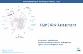 CGMS Risk Assessment
