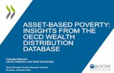 ASSET-BASED POVERTY: INSIGHTS FROM THE OECD WEALTH ...