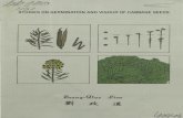 STUDIES ON GERMINATION AND VIGOUR OF CABBAGE SEEDS