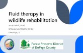Fluid therapy in wildlife rehabilitation