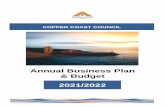 Annual Business Plan & Budget 2021/2022