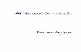 Business Analyzer - Solomon Cloud Solutions