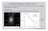 Properties of galaxies in galaxy clusters