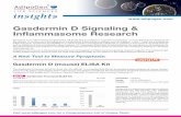 Gasdermin D Signaling & Inflammasome Research